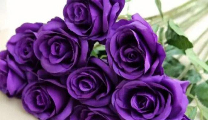 乐事玫瑰花适合送给哪种朋友？乐事玫瑰花的花语是什么？