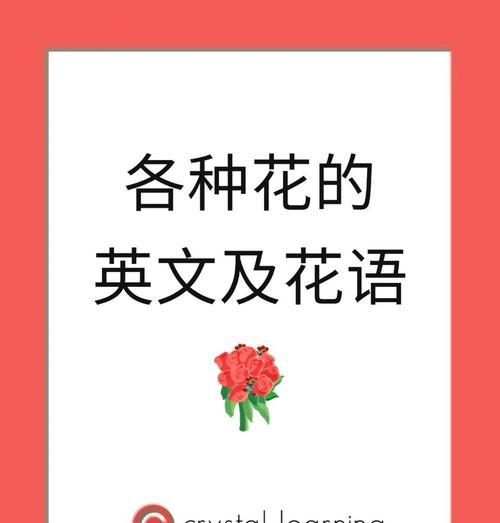 情人约会时的浪漫花语是什么？它传达了哪些情感？