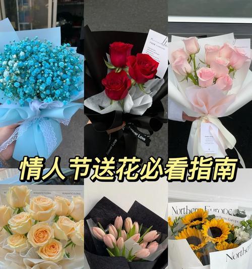 三笠送花的花语代表什么？