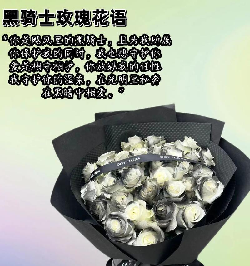 黑骑士玫瑰的花语是什么？它在花语中代表什么？