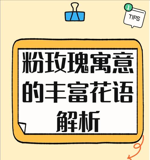 粉玫瑰和郁金香组合的花语有何深意？它们共同的花语是什么？