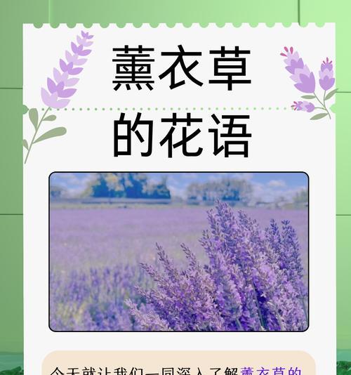 花无是什么花语？它代表了哪种独特的情感？