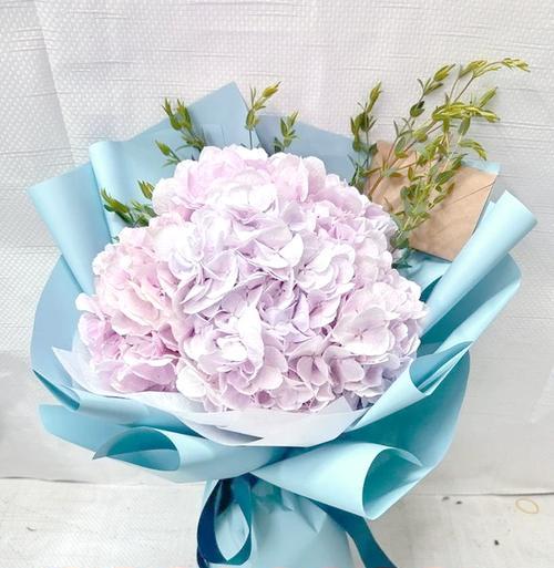 棒子花语有何特别之处？它在花语中代表什么？
