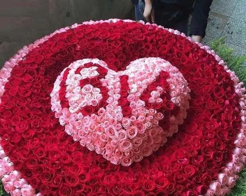 31朵玫瑰花的特殊含义是什么？如何正确解读31朵玫瑰花？