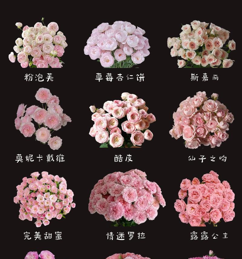 12朵粉玫瑰花语代表什么？