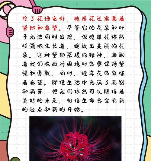 开放的花语代表什么祝福？哪种花的开放寓意祝福？