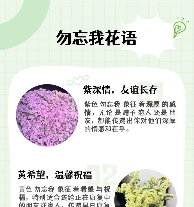 花语星辰的含义你能解释吗？
