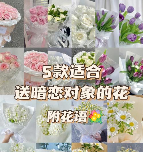 寓意永远陪着你的花语是什么？这种花代表了怎样的情感？