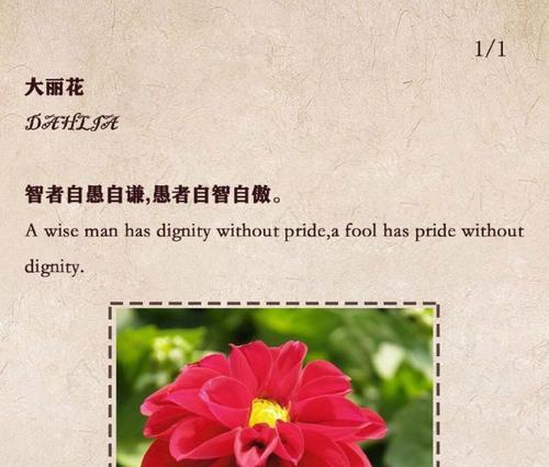 花语听中文的含义是什么？