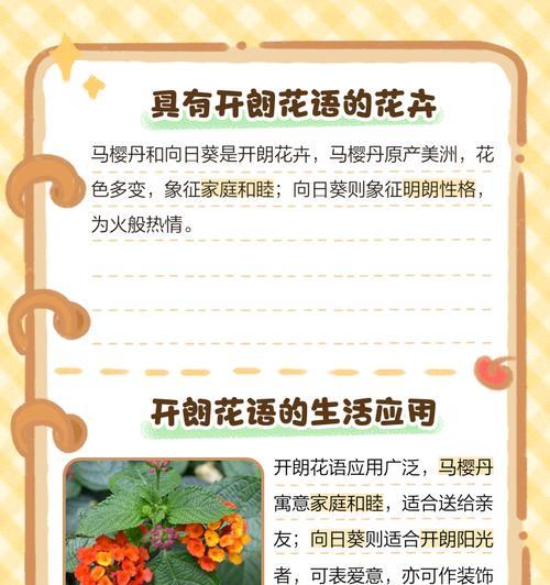 花语听中文的含义是什么？