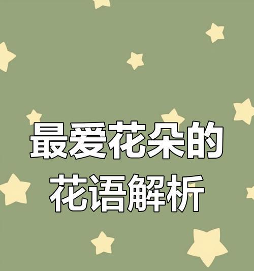 和爱情无关的花语代表什么？花语中有哪些非爱情的表达？