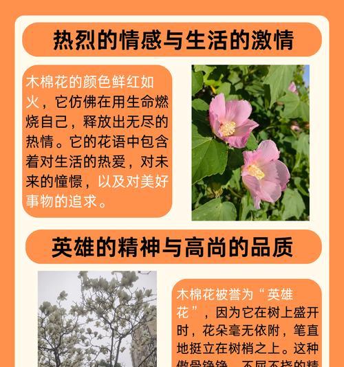 花语存在的意义是什么？