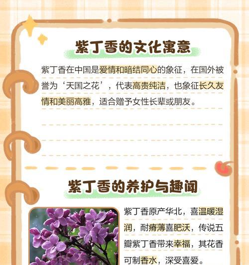道具醉人的花语是什么意思？它象征着什么？