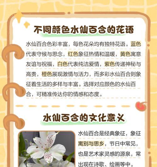 水仙花的花语是什么？代表了什么？