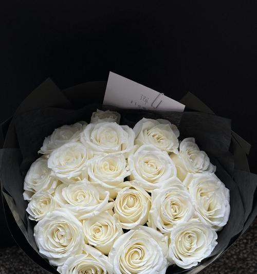 玫瑰花包装一枝花什么意思？一枝玫瑰代表什么？