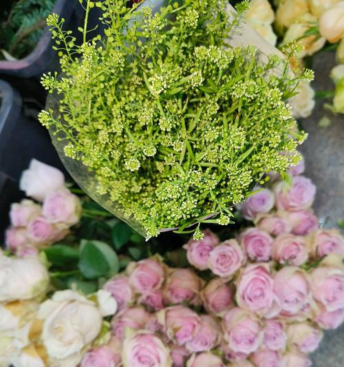妹妹送的花花语有何含义？它在家庭关系中传递了什么信息？