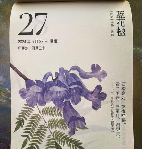 6月2日出生的人花语是什么？