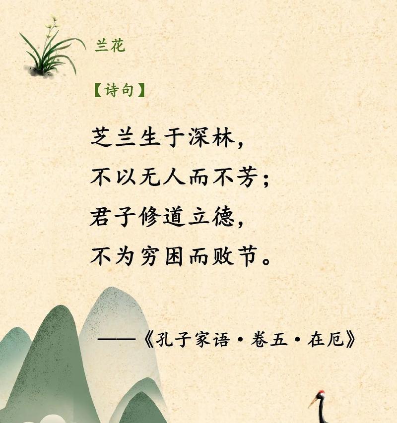 兰衣的花语代表了什么？