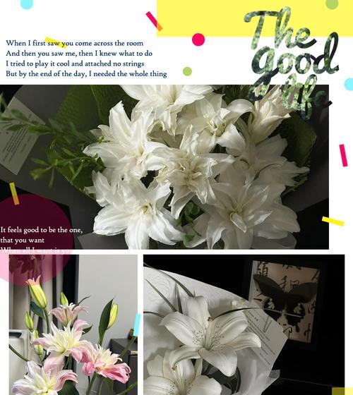 花语芬芳礼盒里都包含了哪些花？它们各自代表什么？