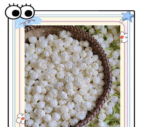 黄色茉莉花香的花语有何含义？