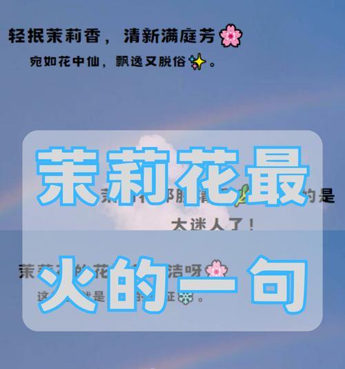 黄色茉莉花香的花语有何含义？