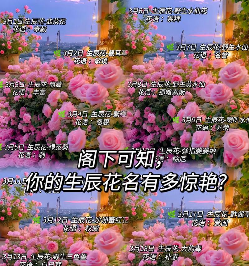 生日花语测试如何进行？测试结果能揭示什么？