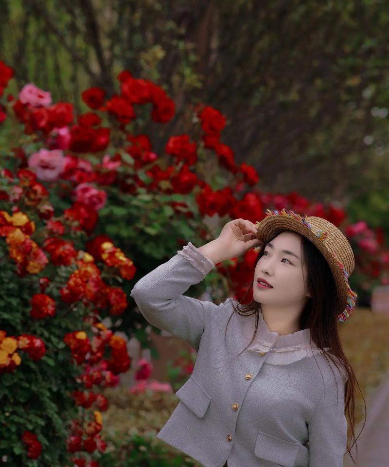 碎片玫瑰花代表什么？花语有哪些？
