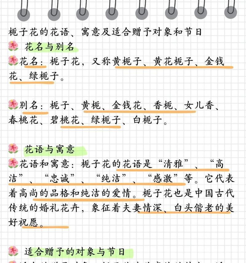 哪种花的花语适合用来比喻？