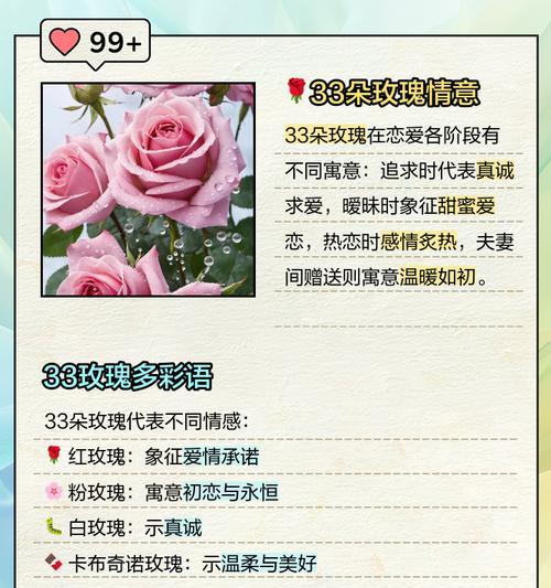 十六朵玫瑰花语是什么？十六朵玫瑰表达了怎样的情感？
