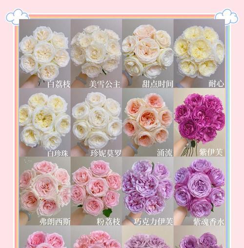 十六朵玫瑰花语是什么？十六朵玫瑰表达了怎样的情感？