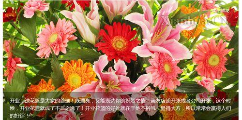 生活蒸蒸日上的花语是什么意思？它象征着什么？
