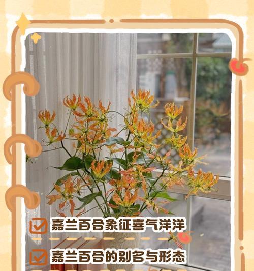 生活蒸蒸日上的花语是什么意思？它象征着什么？