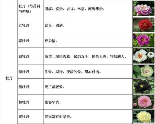 赞美师友时应选择哪种花语？
