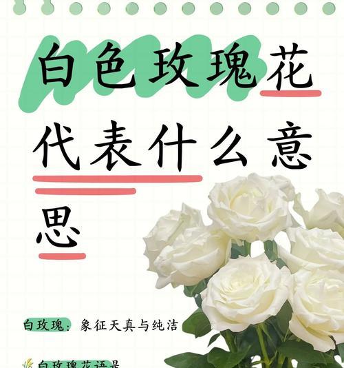 可怕的花语和寓意是什么？它们在花语中代表了什么？