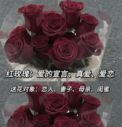 情侣配色玫瑰花语有何特别含义？