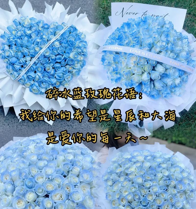 冰蓝之花的花语有何深意？它象征着什么？
