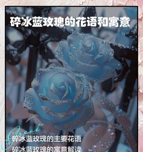 冰蓝之花的花语有何深意？它象征着什么？