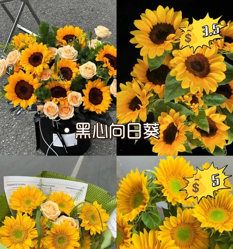 花店提供的花语和寓意有哪些？