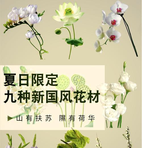 九支茉莉的花语是什么？它代表了哪些情感？