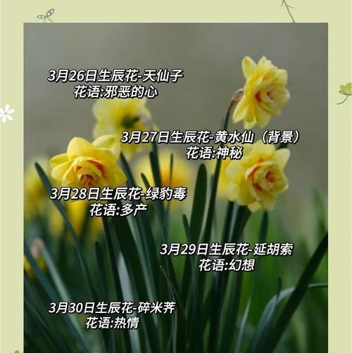 2月24日的生日花语是什么？2月24日对应的花语有哪些？