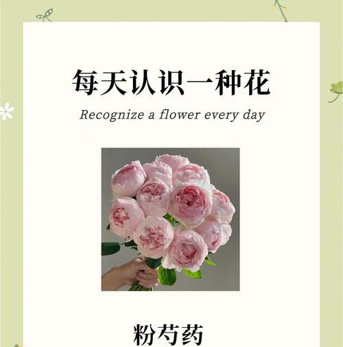 哪种花的花语适合用来纪念逝去的亲人？