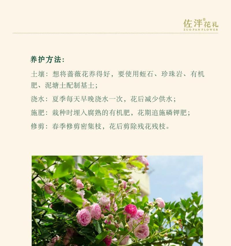 花语花香背后隐藏着什么秘密？