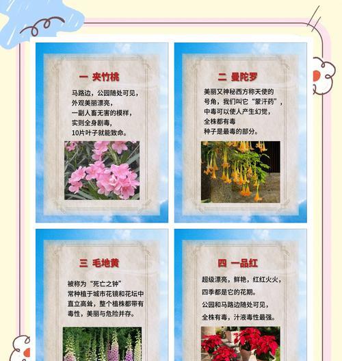 花语花香背后隐藏着什么秘密？