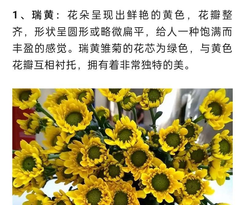 绿植的花语有何深层含义？