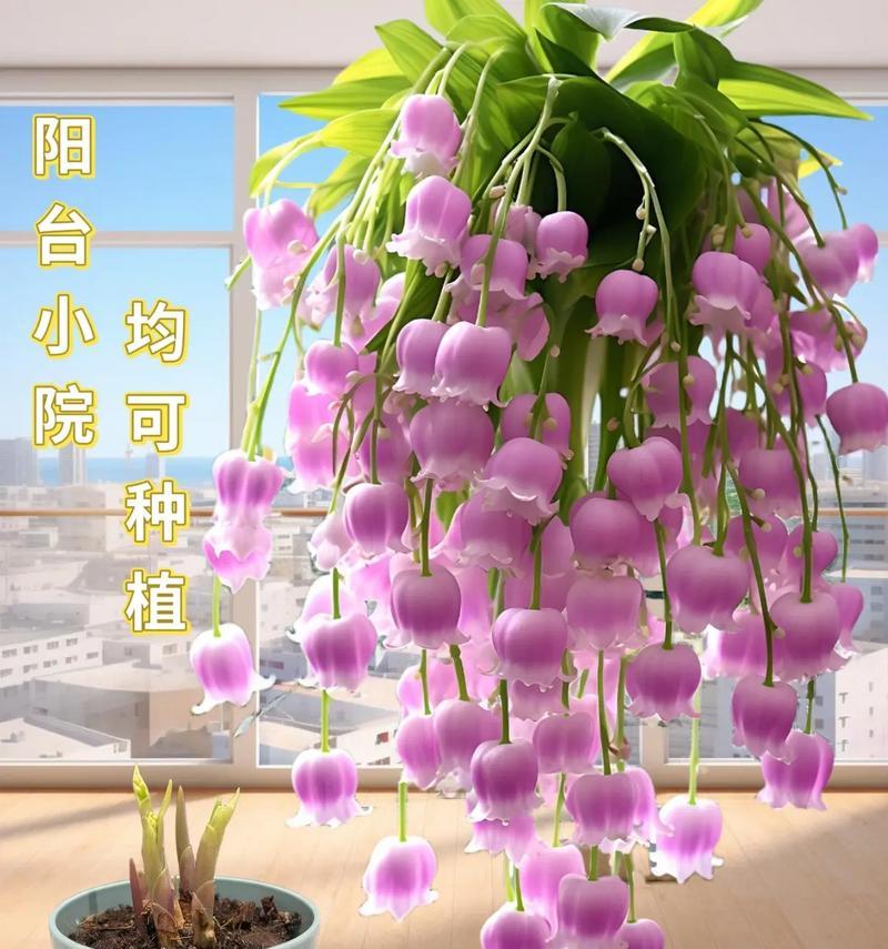 绿植的花语有何深层含义？