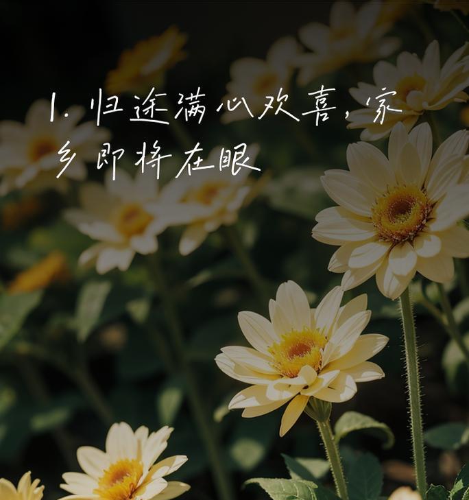 哪种花的花语是代表回家？回家的花语有何含义？