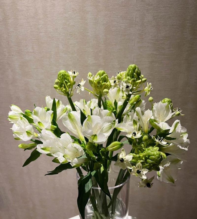 花语融解的完整含义是什么？