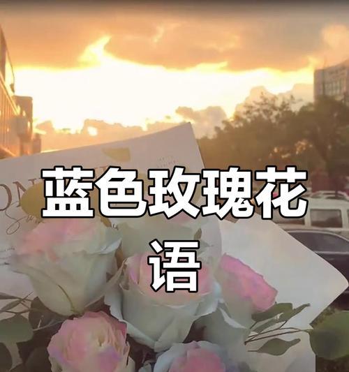 19朵碎冰蓝绿叶的花语有何含义？