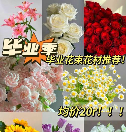 女婿送花时应该选择哪种花？
