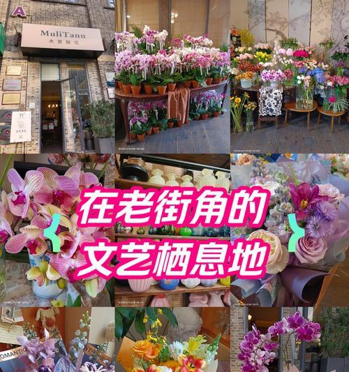 耳钉的花语有何含义？最美兰花的花语是什么意思？